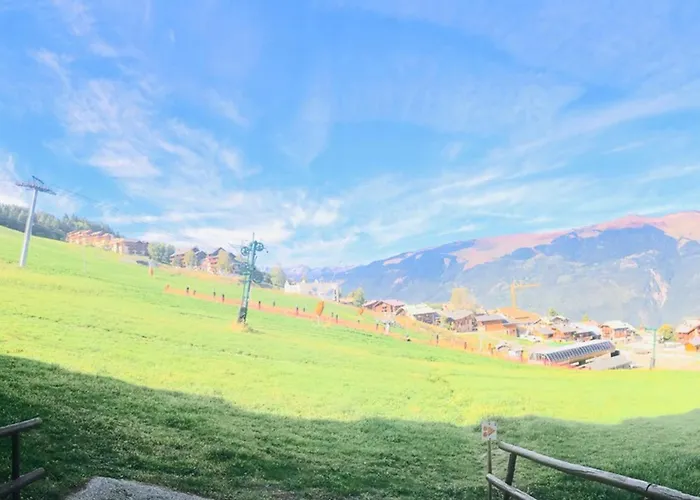 Lumineux, Acces Pistes, Balcon - Fr-1-181-2453 * La Plagne