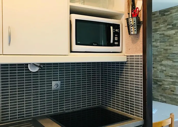 Lumineux, Acces Pistes, Balcon - Fr-1-181-2453 Apartment *